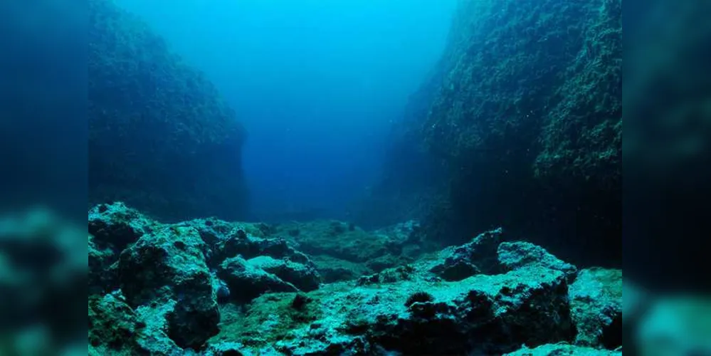 A imagem acima é uma reconstituição artística de Ariel Milani Martine, na Revista Ciência Hoje. E mostra como seria a vida em um mar de 350 milhões de anos no interior do Brasil, com uma fauna variada de trilobitas, moluscos, crinoides e corais.