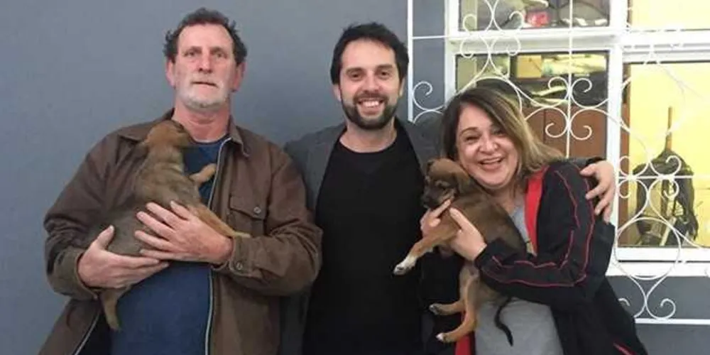 Imagem ilustrativa da imagem Cães abandonados com ‘carta’ são adotados em PG