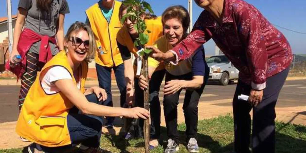 Além de promover a conscientização ambiental, os moradores também poderão, no futuro,  "colher os frutos" da ação