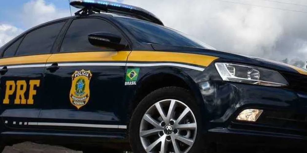 Imagem ilustrativa da imagem Estrangeiro atropela e mata homem em rodovia da região