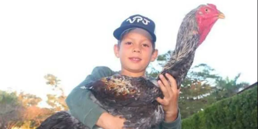 O animal, chamado de Voodoo, é jovem e ainda não está em fase reprodutiva