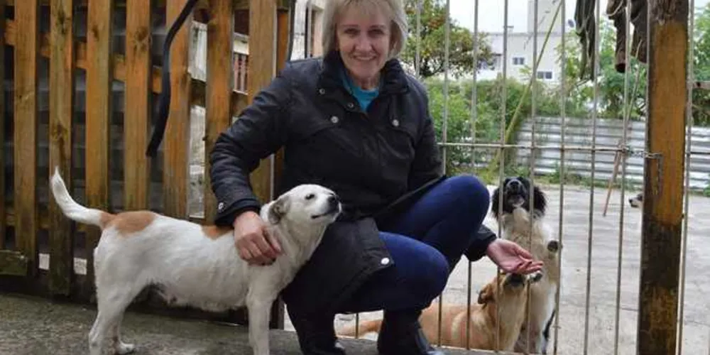 Exemplo. Leila Aparecida cuida de animais de rua 
em sua residência 