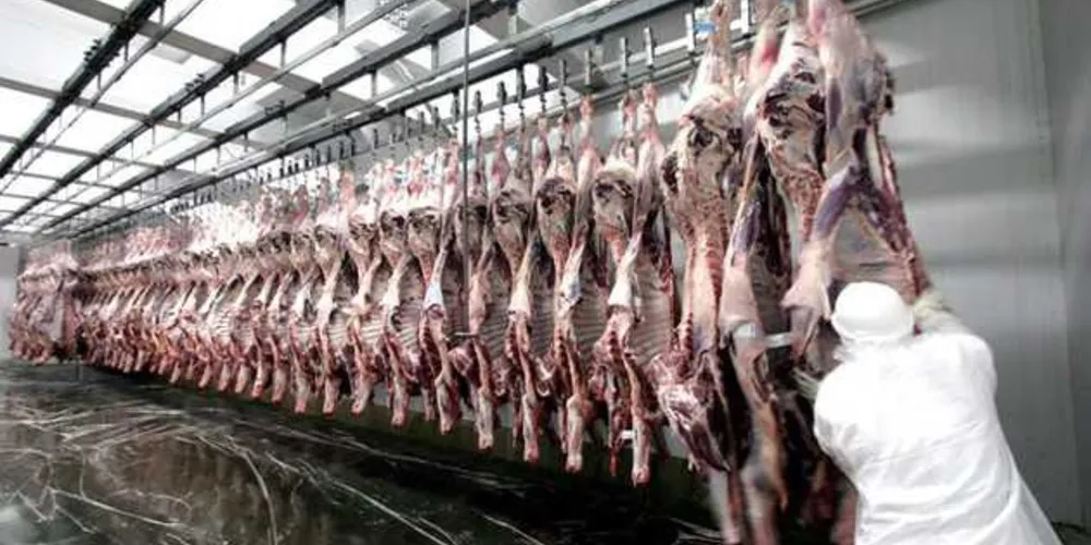 Imagem ilustrativa da imagem Exportação de carne bovina registra alta de 13,4%