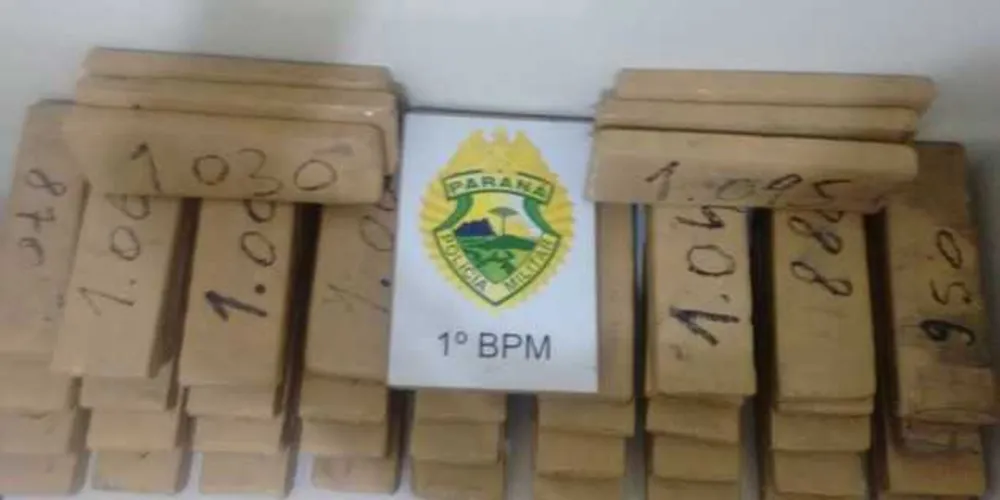 No total, mais de 48 quilos de maconha foram apreendidos pela PM