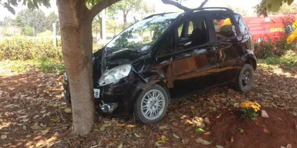 Imagem ilustrativa da imagem Carro bate contra árvore e deixa homem ferido