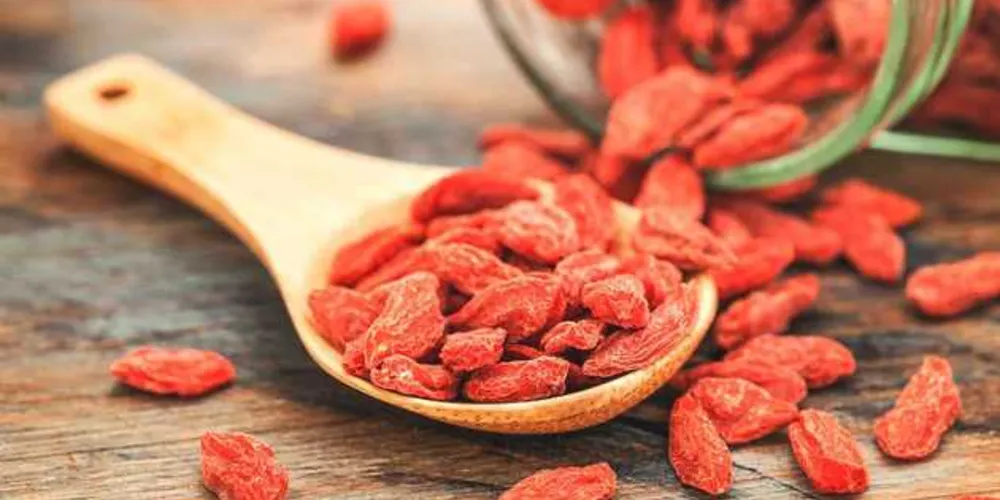 Goji berry é um dos segredos da linha Pós-Coloração da Bio Extratus