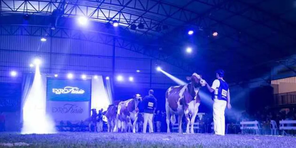 Imagem ilustrativa da imagem ‘Digital Agro’ começa na quinta em Carambeí