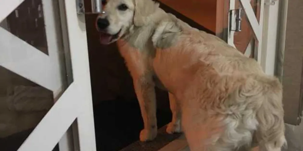 Meg estava na frente de casa quando desapareceu