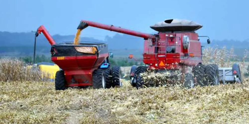 Imagem ilustrativa da imagem Faturamento da agropecuária chega a R$ 88,8 bi
