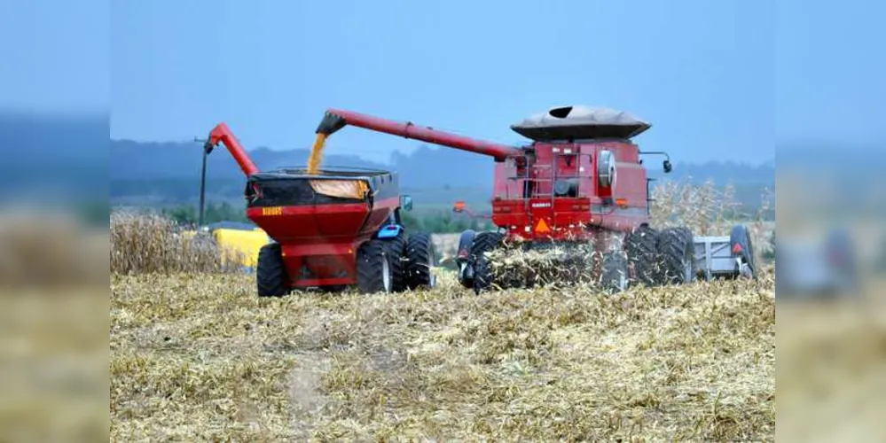Imagem ilustrativa da imagem Faturamento da agropecuária chega a R$ 88,8 bi