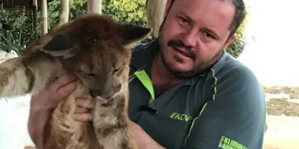 Imagem ilustrativa da imagem Queimadas forçam fuga de animais para áreas urbanas