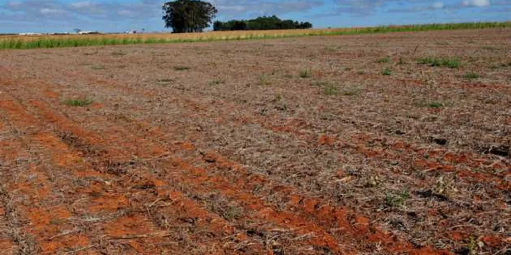 Para o comprador de produção rural de pessoa física com dívida maior que R$ 15 milhões, os 96% restantes da dívida serão parcelados em 176 meses/Foto: Fotos Públicas