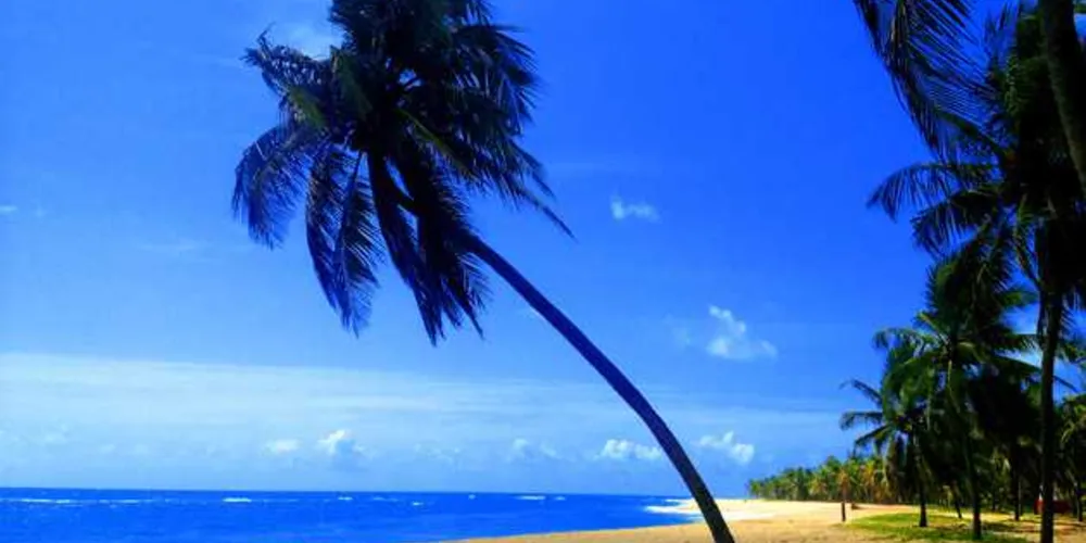 Imagem ilustrativa da imagem 10 passeios que você precisa fazer em Alagoas