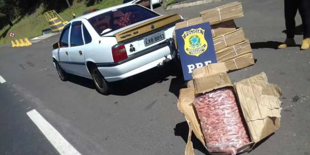 Quase 300 quilos de camarão eram transportados irregularmente