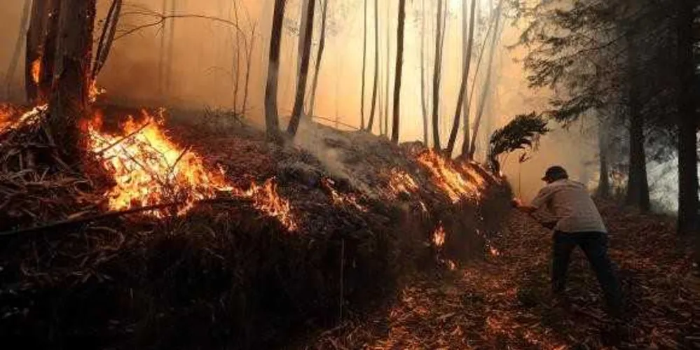 Em junho, mais de 60 pessoas morreram em um grande incêndio no país.