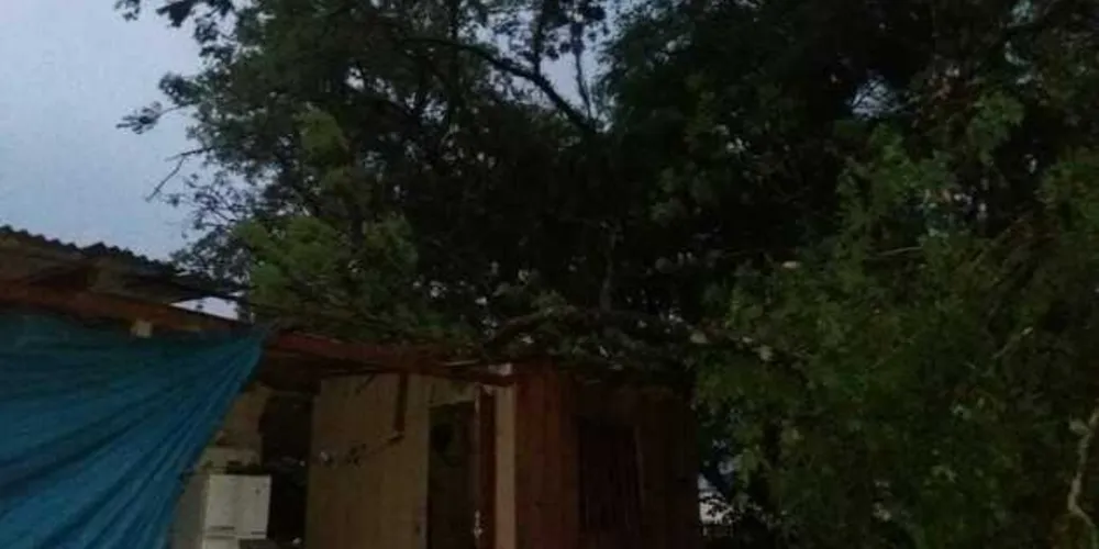 Grandes árvores foram arrancadas com raiz. Há casas destelhadas, segundo os bombeiros