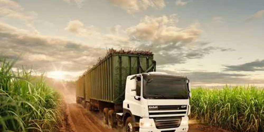 CF85 e XF105 fora de estrada são voltados a operações de cana e madeira