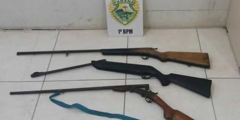 Imagem ilustrativa da imagem PM apreende nove armas de fogo durante o feriado