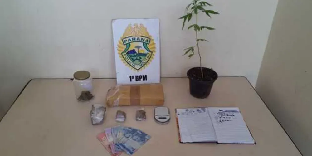Imagem ilustrativa da imagem Homem é detido com droga e planta de maconha em PG