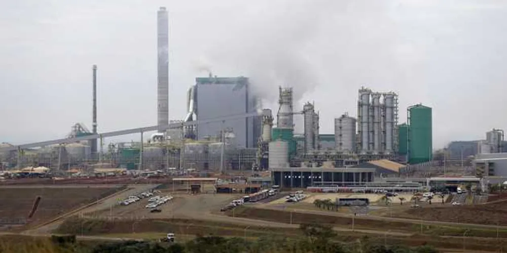 Imagem ilustrativa da imagem Klabin apoia feira de orgânicos em Ortigueira