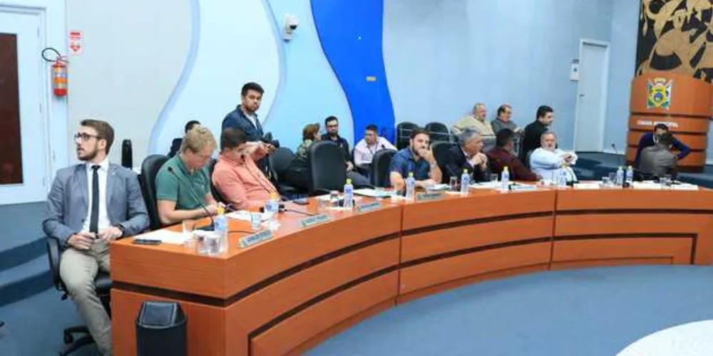 Imagem ilustrativa da imagem Câmara autoriza distribuição de dietas especiais e fraldas