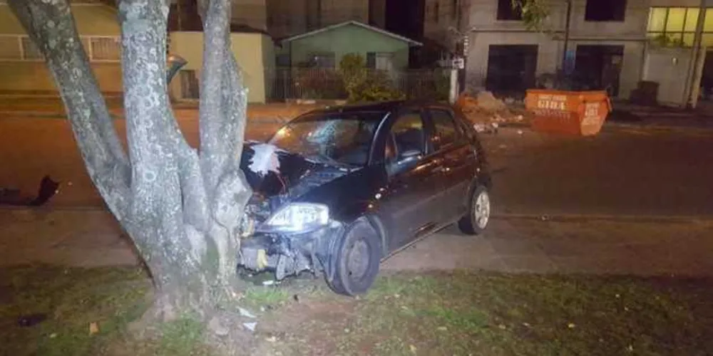 Imagem ilustrativa da imagem Motorista sai ileso após bater contra árvore