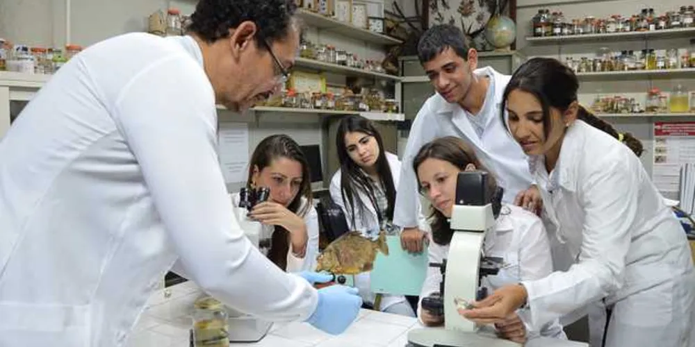 O Paraná é um dos estados com maior concentração de professores doutores no interior./Foto: Divulgação SETI