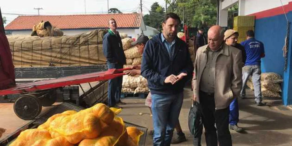 Imagem ilustrativa da imagem Pauliki deve levar Centro de Distribuição do Ceasa para PG
