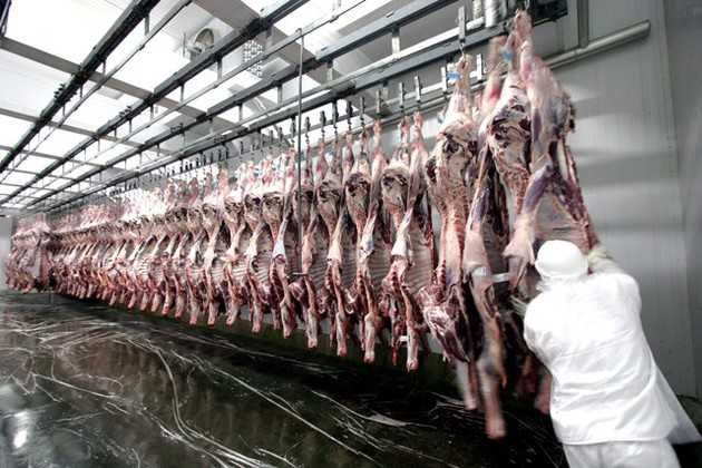 Imagem ilustrativa da imagem Exportação de carne bovina registra alta de 13,4%