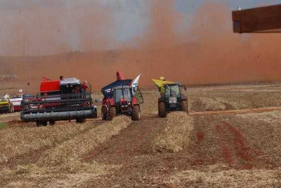 O ano deve ser encerrado com uma safra de grãos de 240,9 milhões de tonelada/Foto Reprodução Agência Brasil