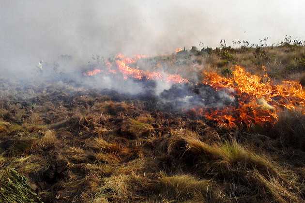 Com o tempo seco, as queimadas são frequentes/Foto: Divulgação Comdec Tibagi