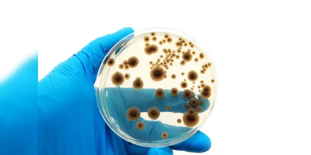 O objetivo principal é orientar profissionais de saúde e a população em geral sobre o uso de antibióticos/Foto: Divulgação 