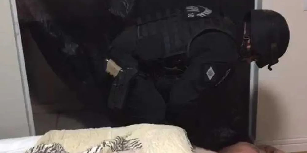 Imagem ilustrativa da imagem PF faz megaoperação para combater tráfico internacional de drogas