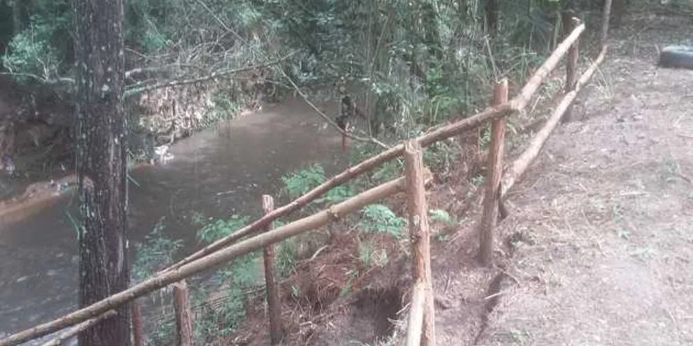 Imagem ilustrativa da imagem Polícia Ambiental flagra cortes em área de preservação permanente