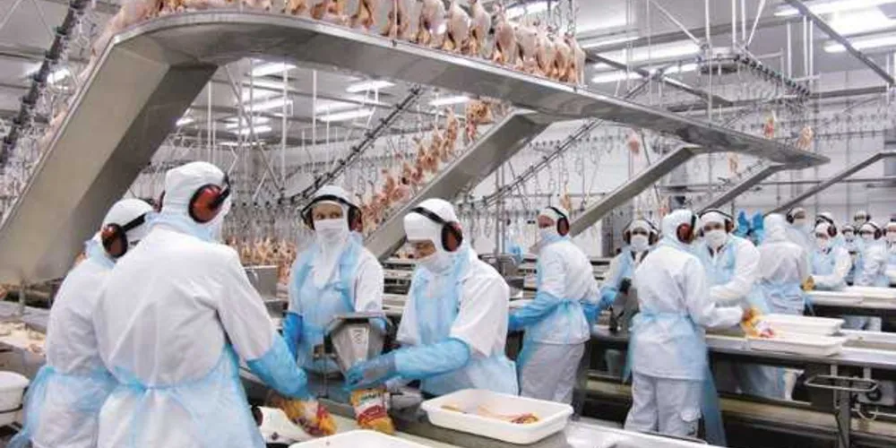 Imagem ilustrativa da imagem Taxa de desemprego cai para 8,5% no Paraná