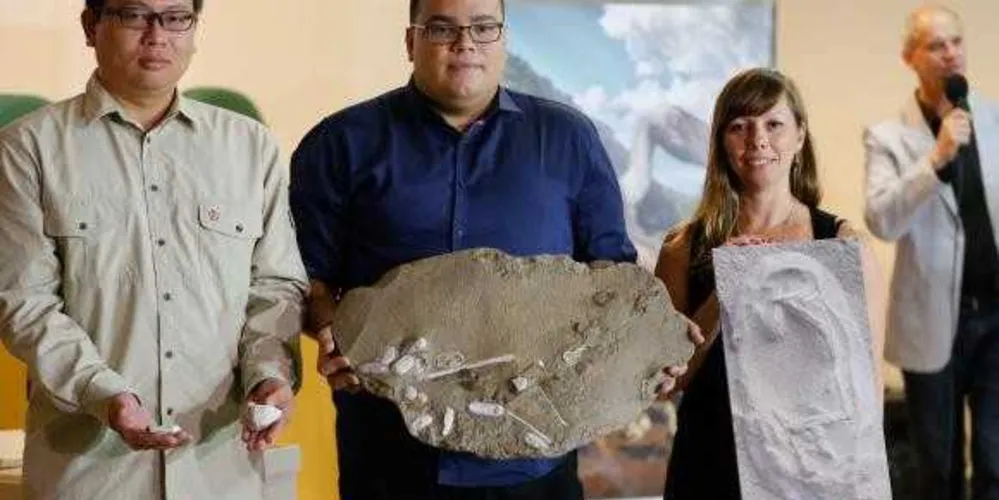 Pesquisadores brasileiros, em parceria com chineses, apresentam réplicas de descobertas de ovos e restos fossilizados de pterossauros/Foto: Reprodução