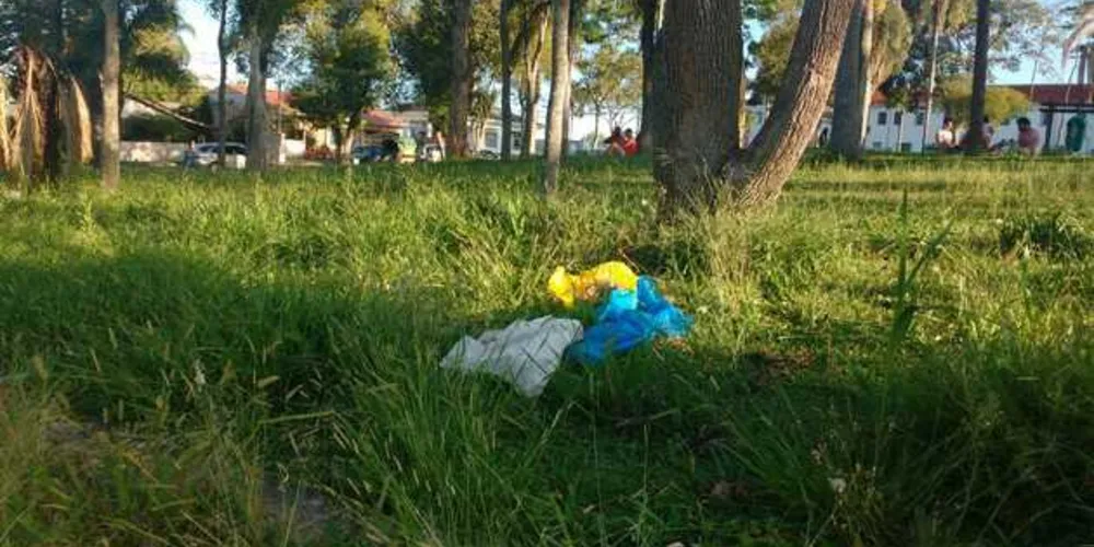Imagem ilustrativa da imagem Moradores denunciam mato e lixo em praça pública