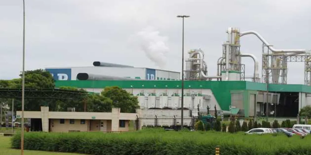 Imagem ilustrativa da imagem Arauco assume as operações da Masisa em PG