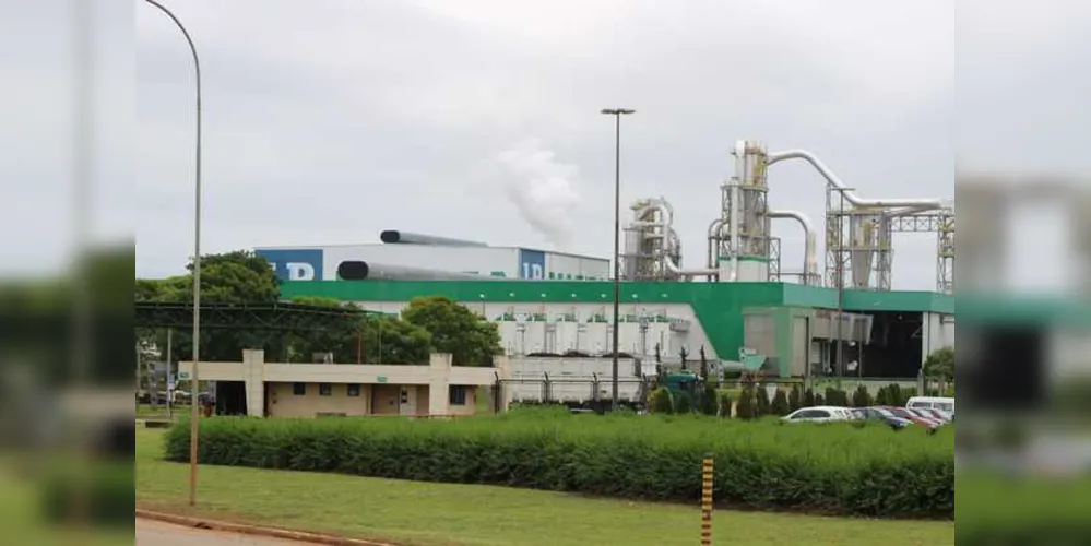 Imagem ilustrativa da imagem Arauco assume as operações da Masisa em PG
