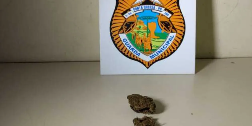 Imagem ilustrativa da imagem Forças de segurança apreendem maconha em Olarias