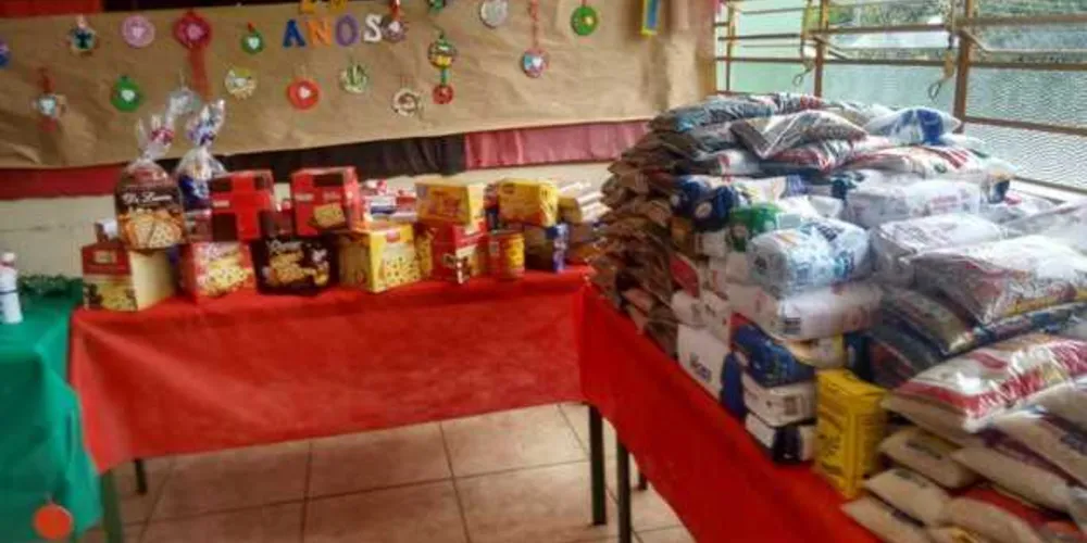 Os estudantes coletaram os alimentos indo em casa em casa/Foto: DIvulgação