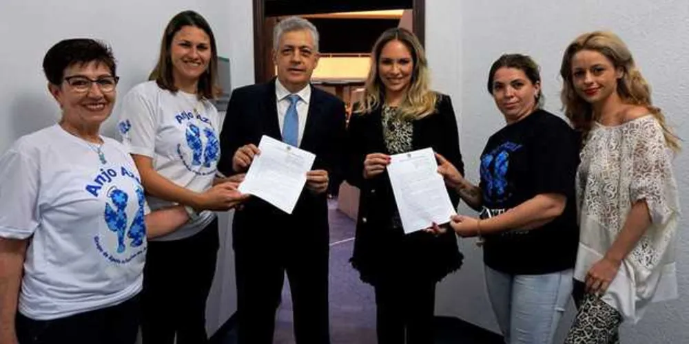 Imagem ilustrativa da imagem Péricles pede apoio à vice-governadora para Centro de Excelência