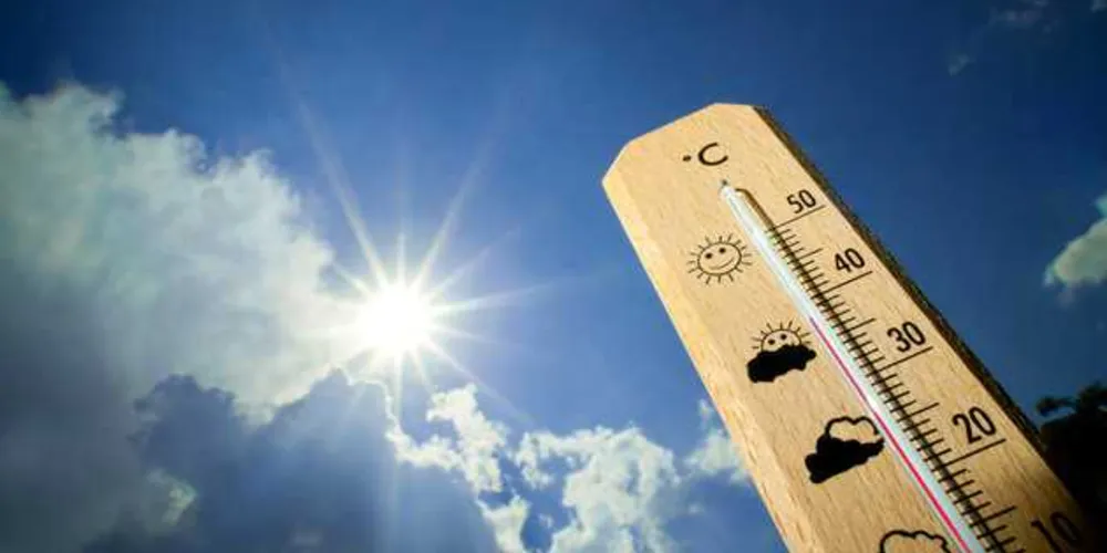 Imagem ilustrativa da imagem Conheça cinco doenças comuns no verão