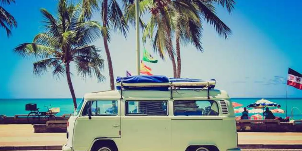 Imagem ilustrativa da imagem Especialista dá dicas de segurança para viagens de férias