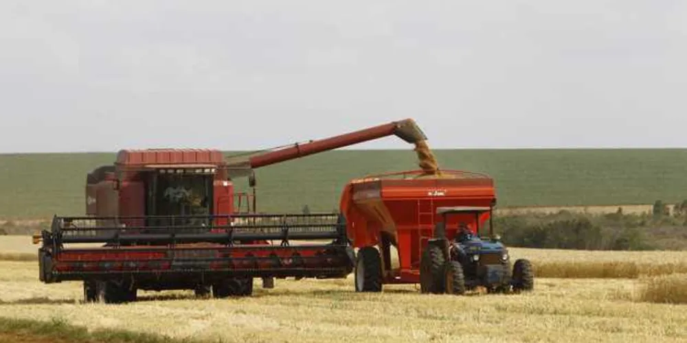 Imagem ilustrativa da imagem Agricultura fecha balanço e confirma safra recorde