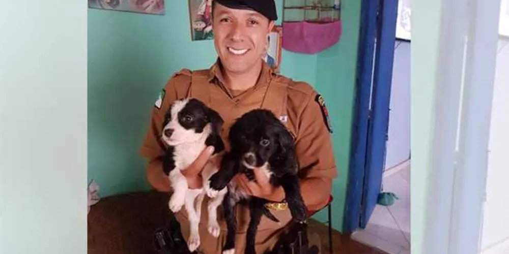 Soldado Mendes fez o resgate dos cães