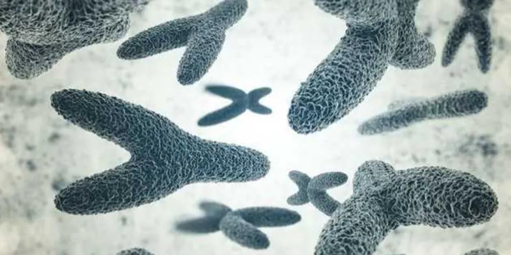  Acrescentamos duas letras ao DNA/Foto:Reprodução