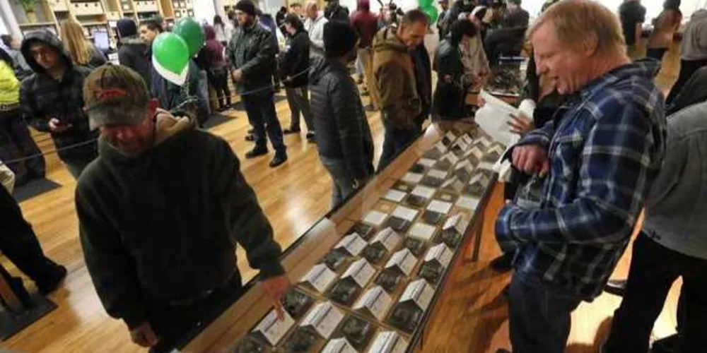  O uso da droga é legal para adultos de 21 anos; cada pessoa pode plantar e cultivar até 6 plantas de canábis e ter na sua posse um máximo de 28 gramas/Foto: Divulgação DR