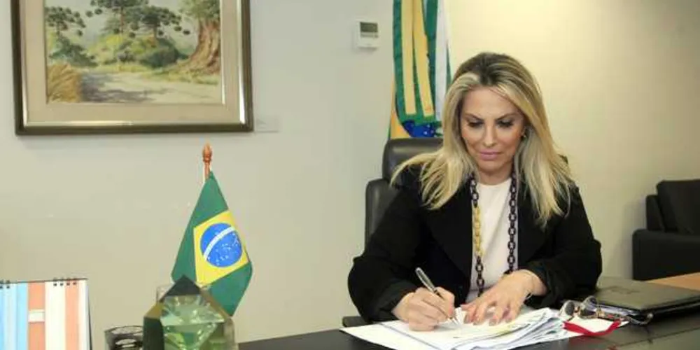 Imagem ilustrativa da imagem Cida quer ampliar ‘aliança vencedora’ para a eleição de 2018