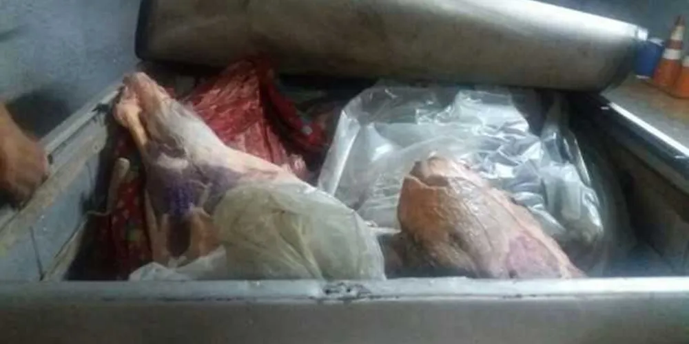 Imagem ilustrativa da imagem Polícia encontra 500 kg de carne de origem duvidosa